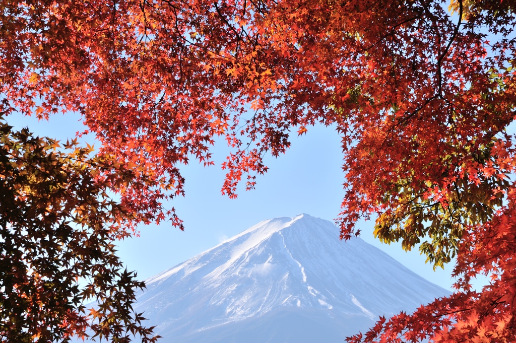 紅模様