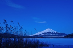 薄藍の情景