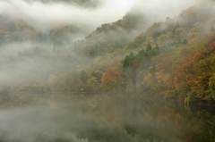 白い情景