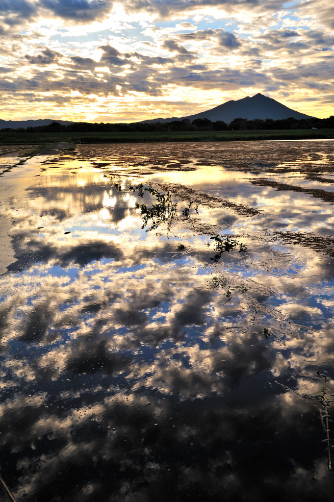 野に降るまだら雲