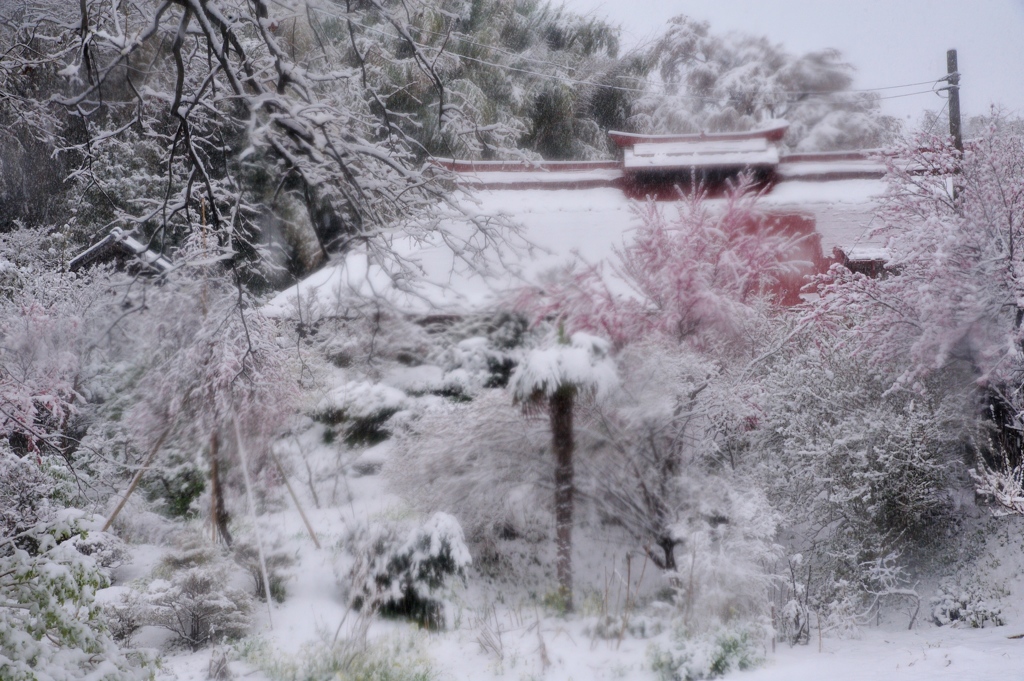 春雪の旅路。。。Ⅰ