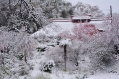 春雪の旅路。。。Ⅰ