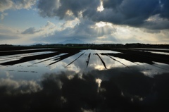 Countryside。。。Battle of the season