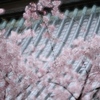 雅な香り