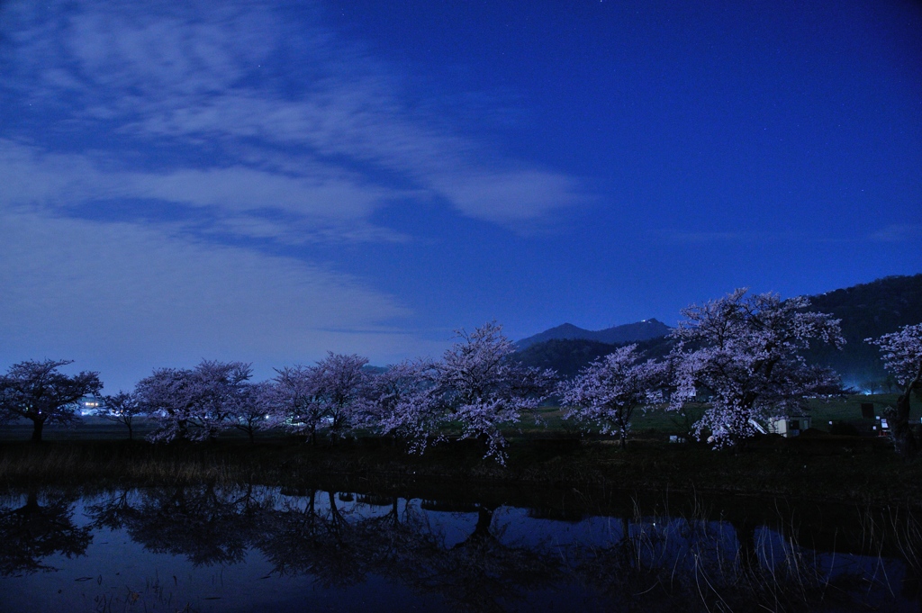 蒼い夜の宴