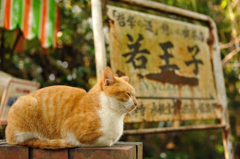 若王子
