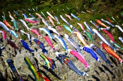 carp-fest