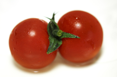 twin tomato