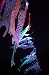 moonlit carps