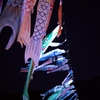 moonlit carps