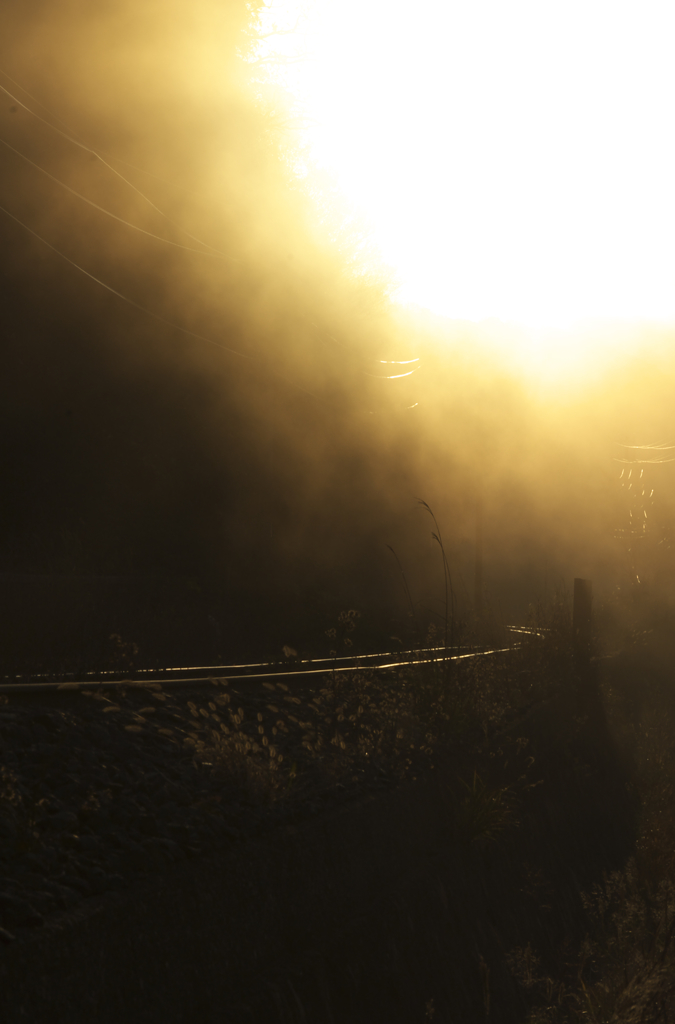 霧向こうの太陽とレール