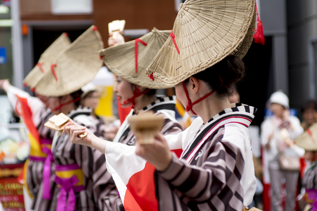 よさこい２０１４　笠