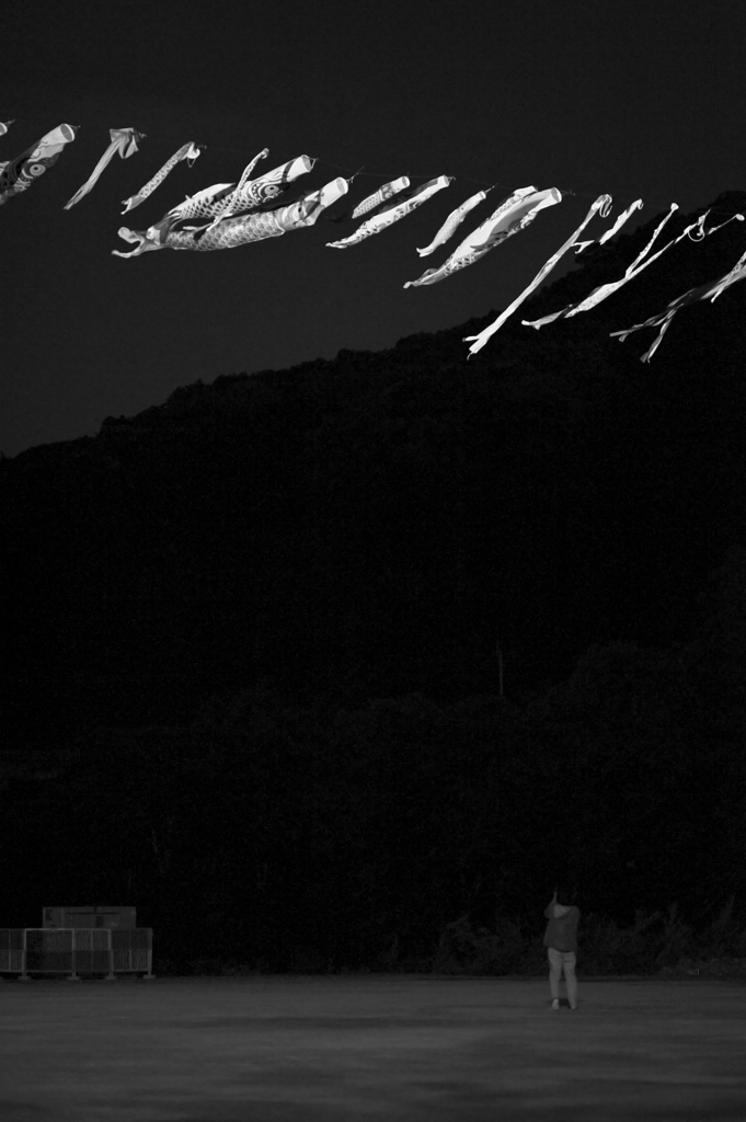 night carps & photographer