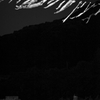 night carps & photographer