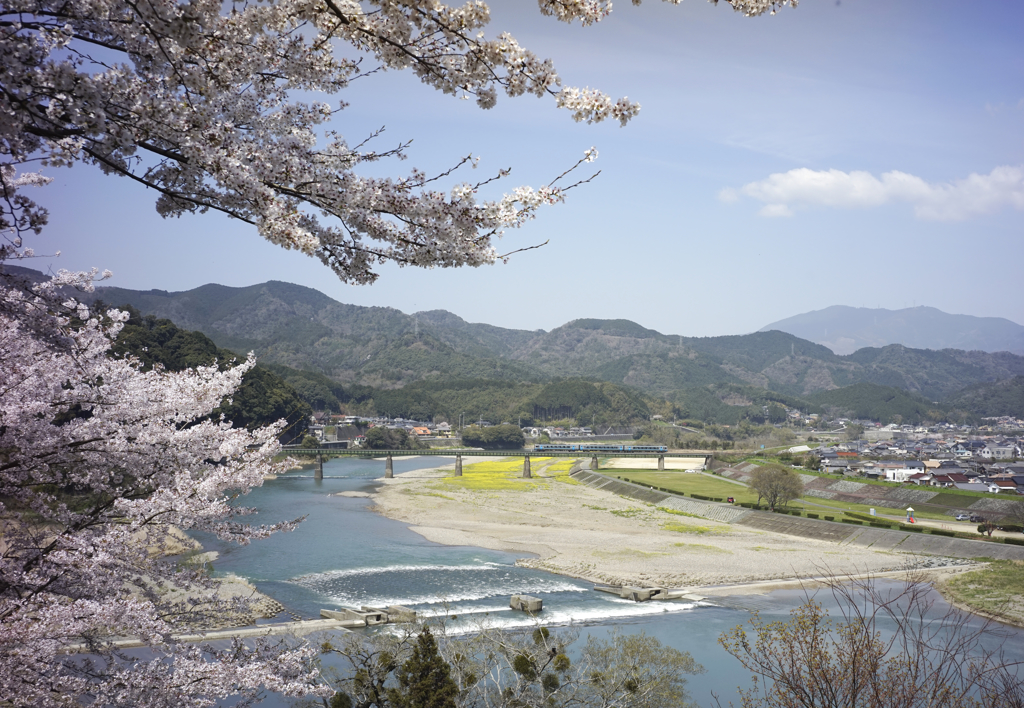 春の肱川を渡る予讃線（遠景）