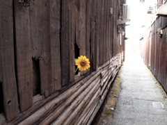fake sun