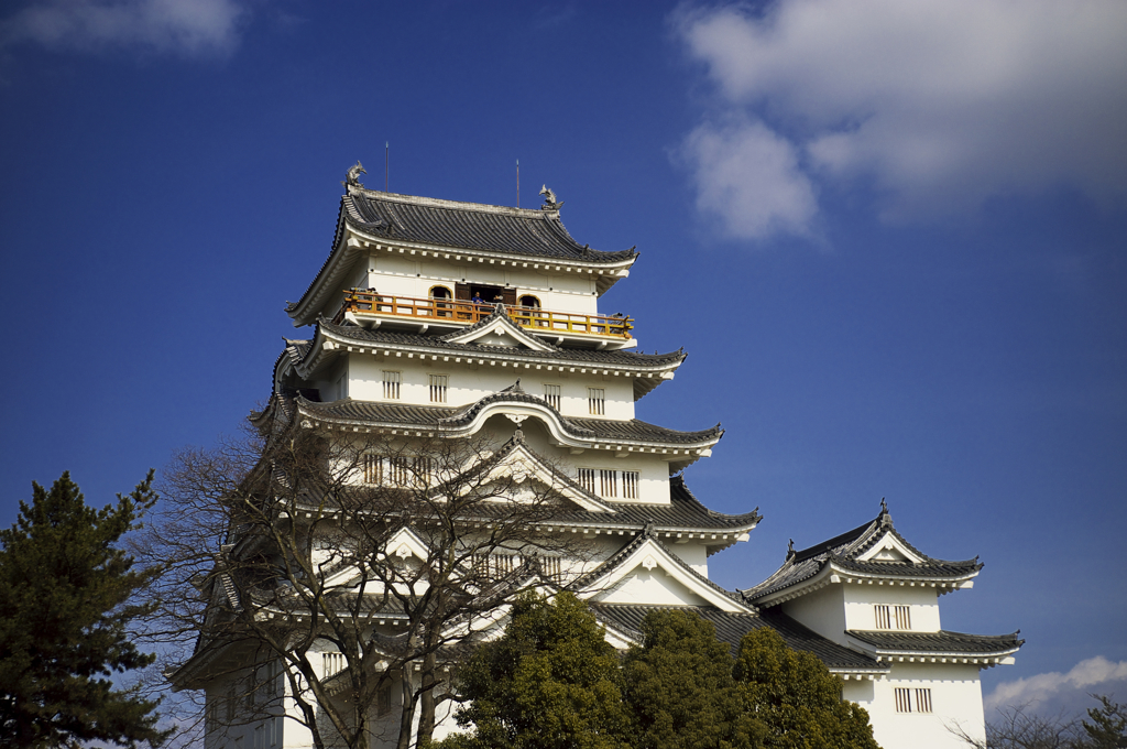 どん。