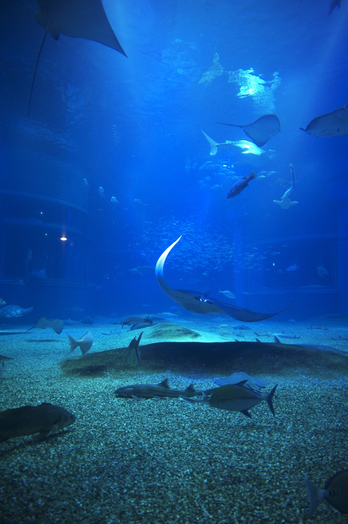 Aquarium 3/3