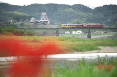 彼岸花とその他もろもろ