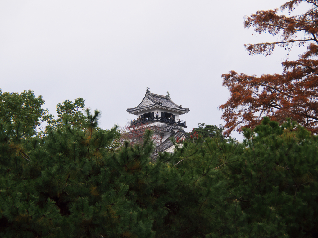 高知　天守
