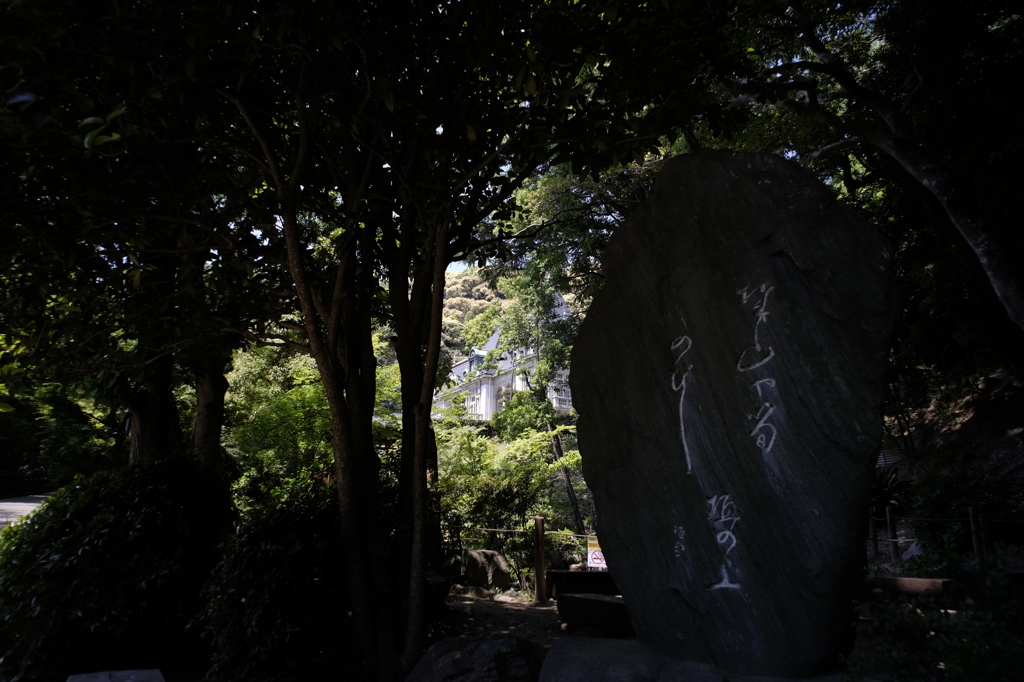 城山や筍のびし垣の上