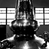 spirit still