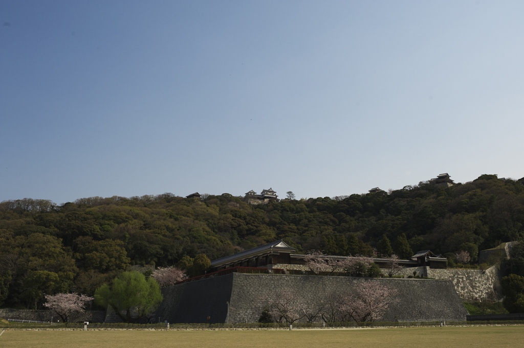 松山城