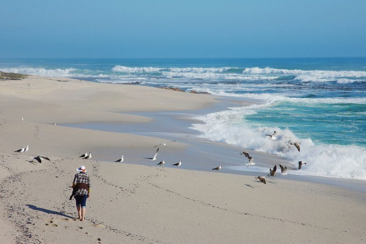 a lady walk around