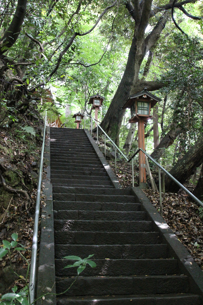 20110730-等々力渓谷23
