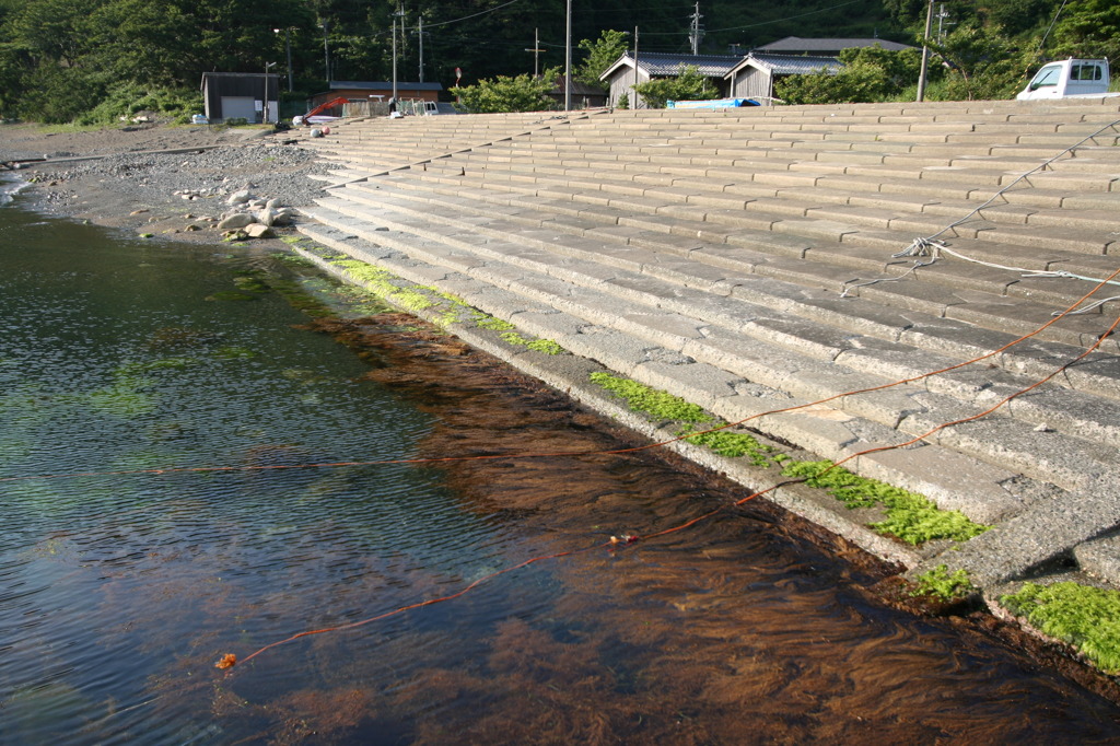 2005若狭遊子の海04