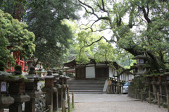 20110429春日大社07