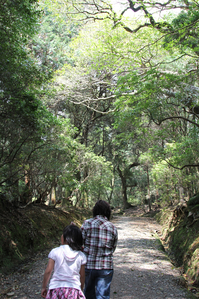 20110429春日大社02
