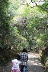 20110429春日大社02