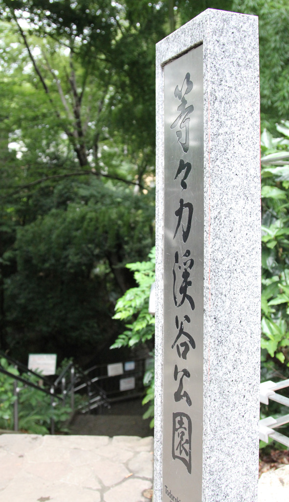 20110730-等々力渓谷03
