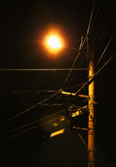 夜照らす