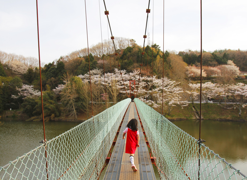 桜の指す方に