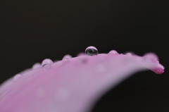 雨の日を楽しもう２