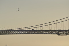 明石大橋　夕陽６