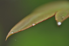 雨の日を楽しもう４