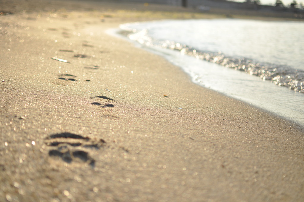 朝焼け明石大橋