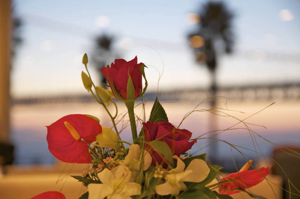 出版記念パーティーin Hotel SETRE