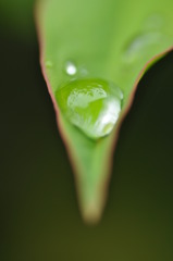 雨の日を楽しもう５