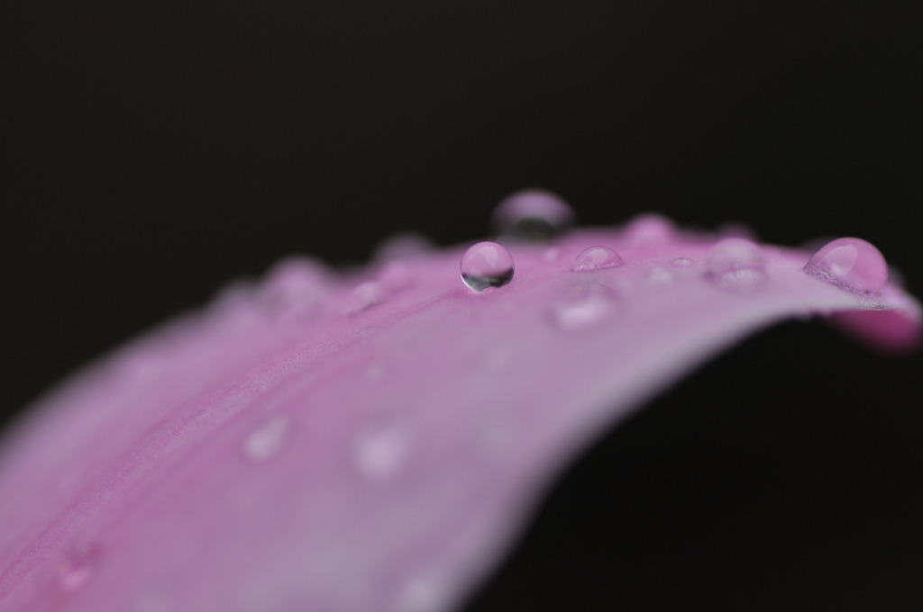 雨の日を楽しもう