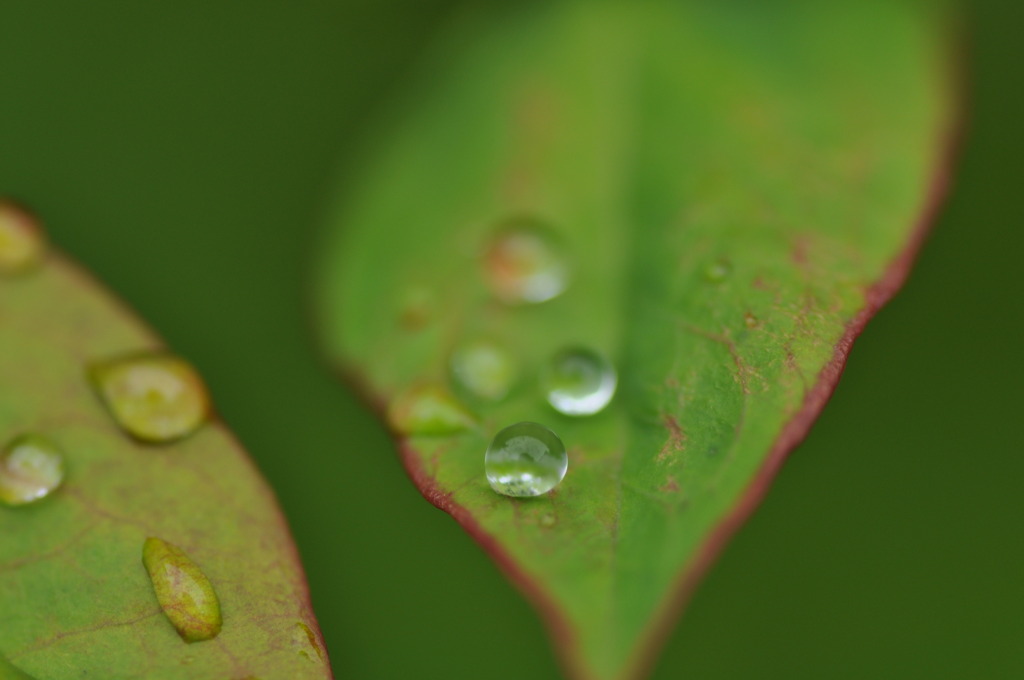 雨の日を楽しもう６