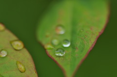 雨の日を楽しもう６
