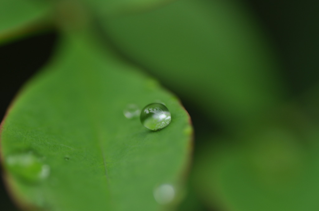 雨の日を楽しもう９