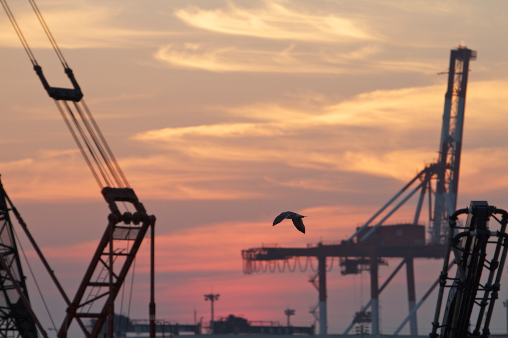 ポートアイランド北埠頭