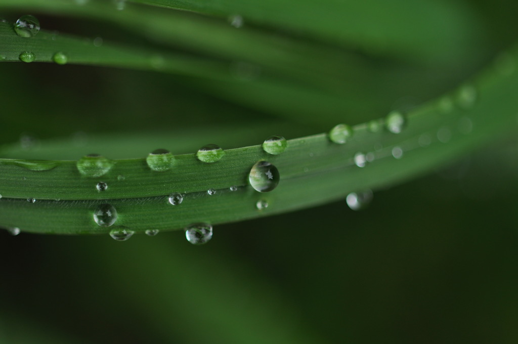 水滴