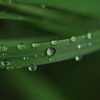 水滴