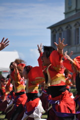 垂水よさこい祭り１４